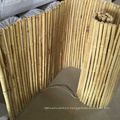 Agricultural Large Garden Dried Bamboo Cane Poles Price Large Raw Bamboo Poles